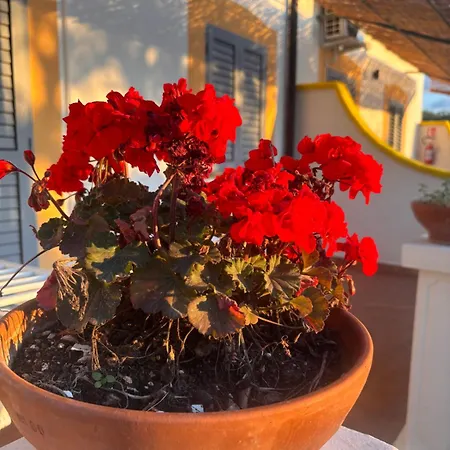 Apartament Valle Dei Greci
