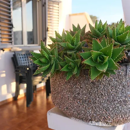 Valle Dei Greci Daire *