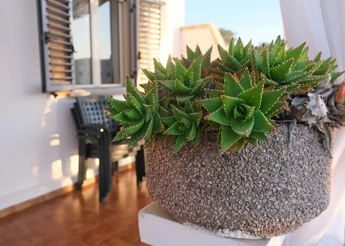 Valle Dei Greci 公寓 *