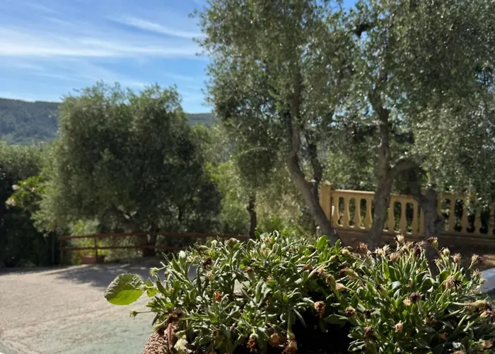 Valle Dei Greci 佩斯基奇